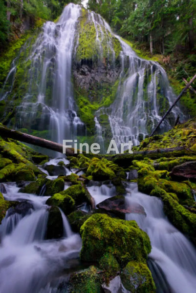 2037 - Proxy Falls (Mckenzie Pass Oregon) Photo By Brian Rueb Fine Art Photography Nature Wildlife