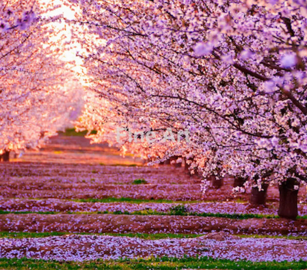 2047 - Prelude To Spring By Logu Krishnan Fine Art Photography Nature Wildlife Scenic Landscapes