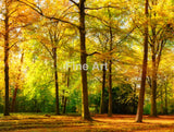 2064 - ’Im Goldenen Sonnenschein’ By Smileus Wall Art Home Decor -Art -Fine Photography Metal