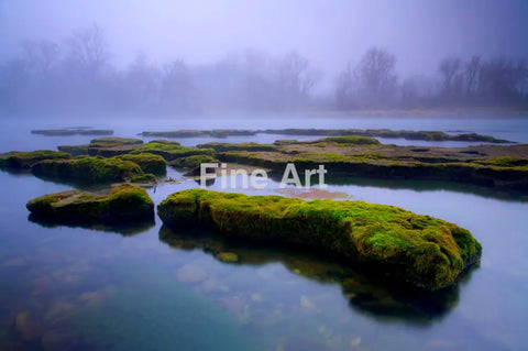 2090 - The Foggy Furrows-Photo By Brian Rueb -Fine Art Photography Print On Metal Wall Home Decor