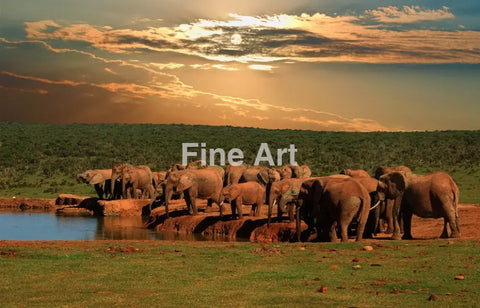 3013 - The Watering Hole By Hajakely Wall Art Home Decor -Art -Fine Photography Metal Canvas Framed