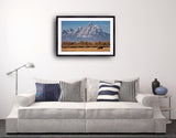 2094 - Horse On The Tetons -Photo By Brian Rueb-Modern Metal Fine Art Photography Print