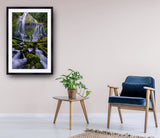 2037 - Proxy Falls (McKenzie Pass Oregon) - Photo By Brian Rueb - Fine Art Photography - Nature - Wildlife - Scenic Landscapes