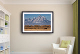 2094 - Horse On The Tetons -Photo By Brian Rueb-Modern Metal Fine Art Photography Print